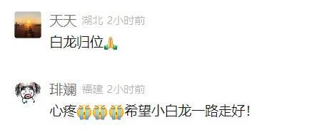 深夜传来痛心消息: 已不幸离世! 死因公布
