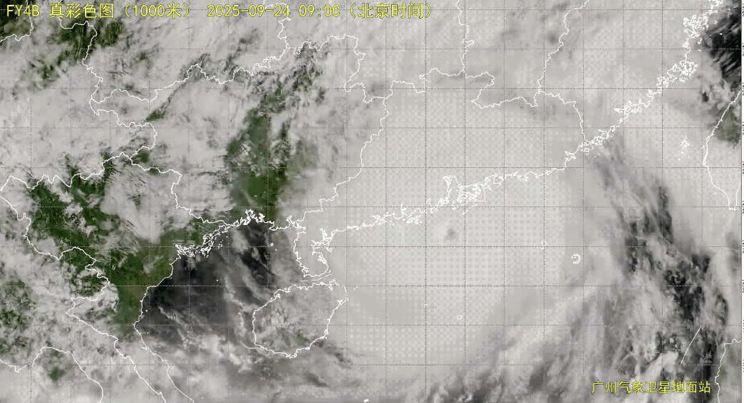非必要不外出！广州已录得14级大风，今天上午风雨最强