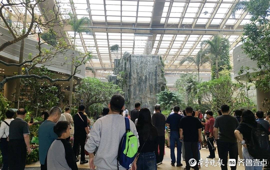 活力起步｜从狮城到泉城，鹊山生态文化区凭“南洋风”成文旅黑马