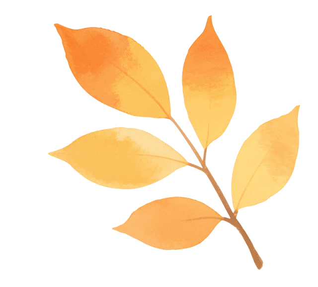 最高35℃！未来，厦门天气将持续……