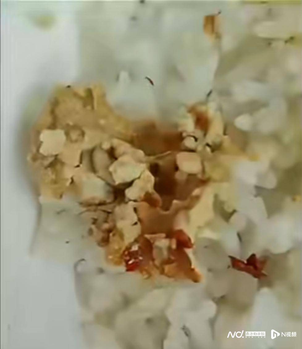 事发佛山!有市民网购的豆腐乳内有蛆虫蠕动