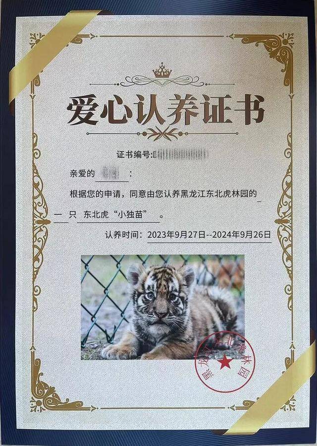 无协议、不公示、隐瞒死讯，黑龙江东北虎林园认养虎项目遭质疑