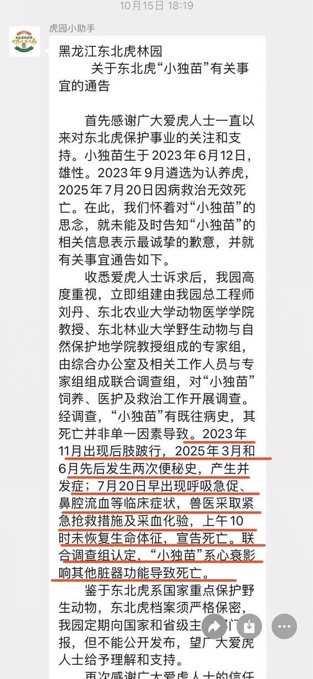 无协议、不公示、隐瞒死讯，黑龙江东北虎林园认养虎项目遭质疑
